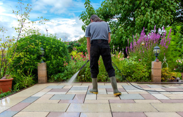 Best Sidewalk and Walkway Cleaning  in Huntsville, TN